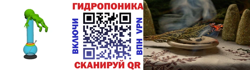 Бошки марихуана план  Купить закладки  Гаджиево 